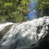 Review photo of Alsea Falls Recreation Site (campground) by Molly H., June 3, 2018