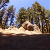 Review photo of Tahoe Valley Campground by Keef W., July 15, 2016