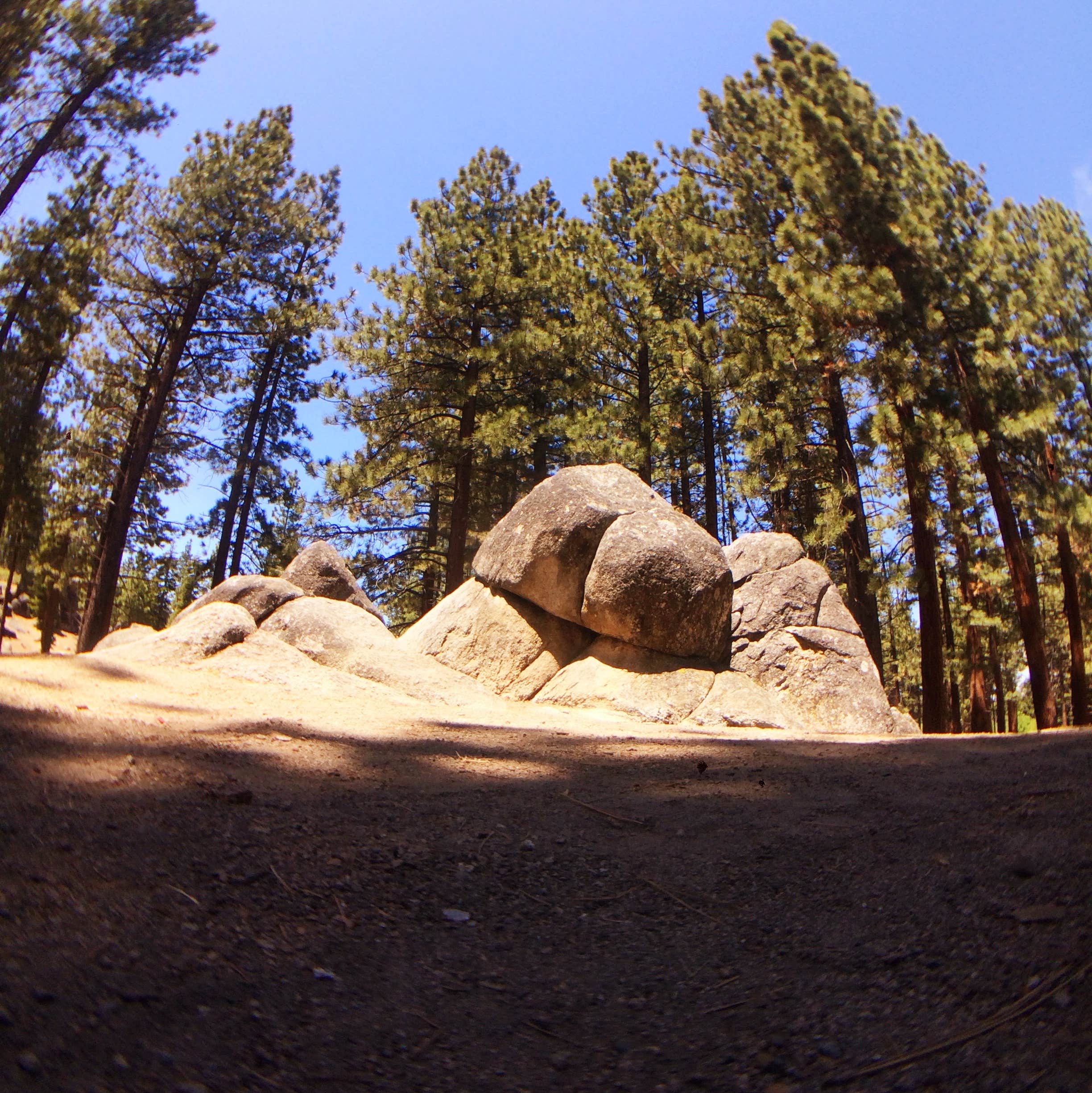 Camper submitted image from Tahoe Valley Campground - 3