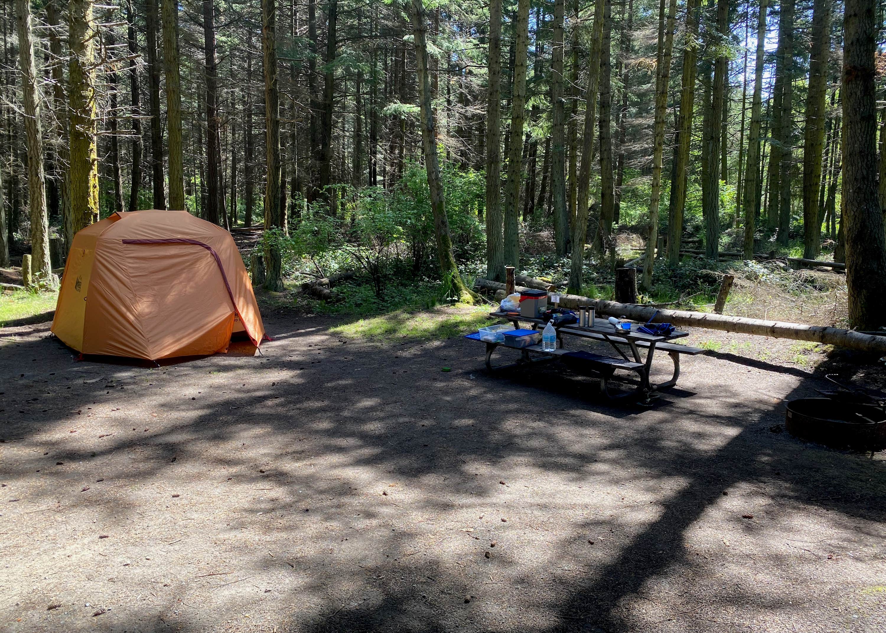 Dungeness Recreation Area Camping The Dyrt