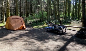 Camping near Louella Cabin: Dungeness Recreation Area, Carlsborg, Washington
