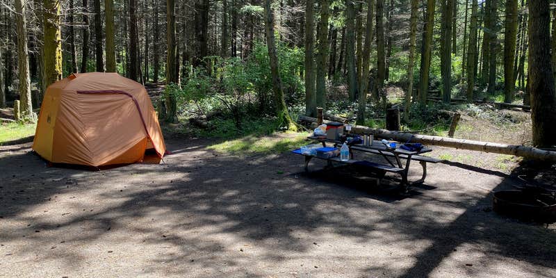 Camper submitted image from Dungeness Recreation Area