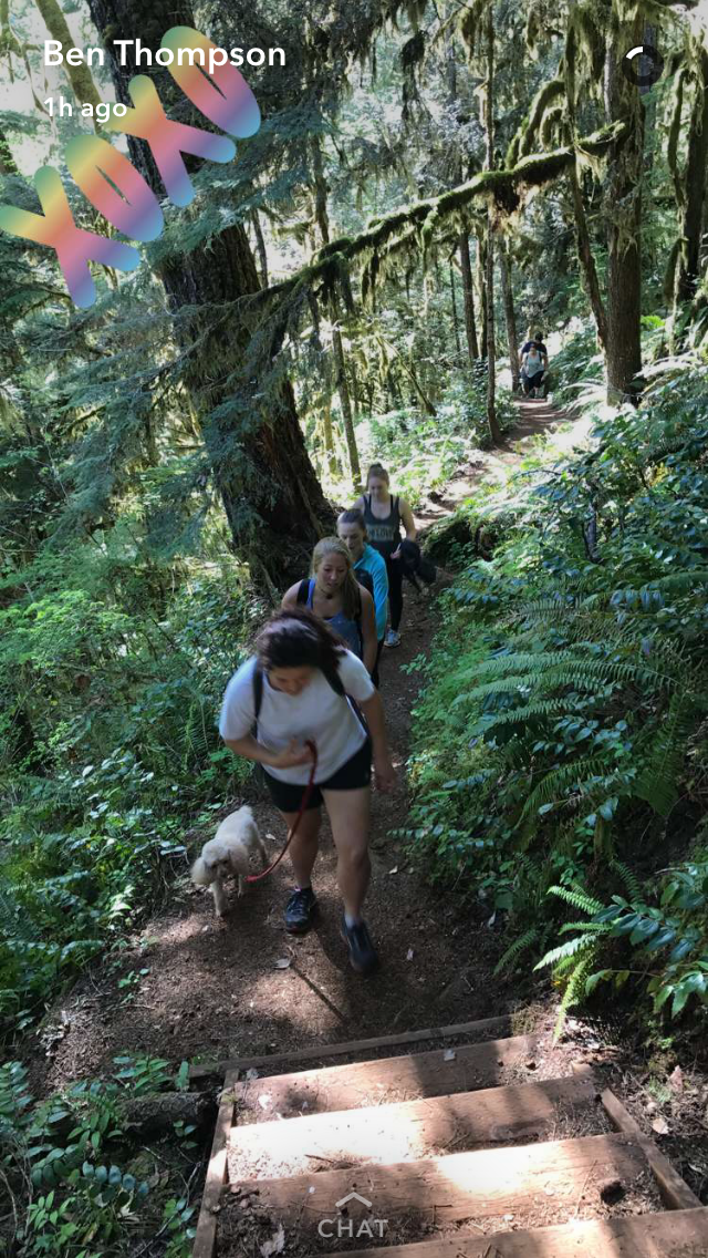 Camper submitted image from Alsea Falls Recreation Site (campground) - 4