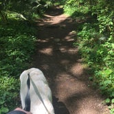 Review photo of Alsea Falls Recreation Site (campground) by Molly H., June 3, 2018