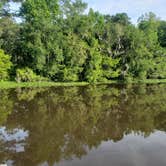 Review photo of High Bluff - Joe Budd WMA and Lake Talquin State Forest by Tucker B., May 16, 2021