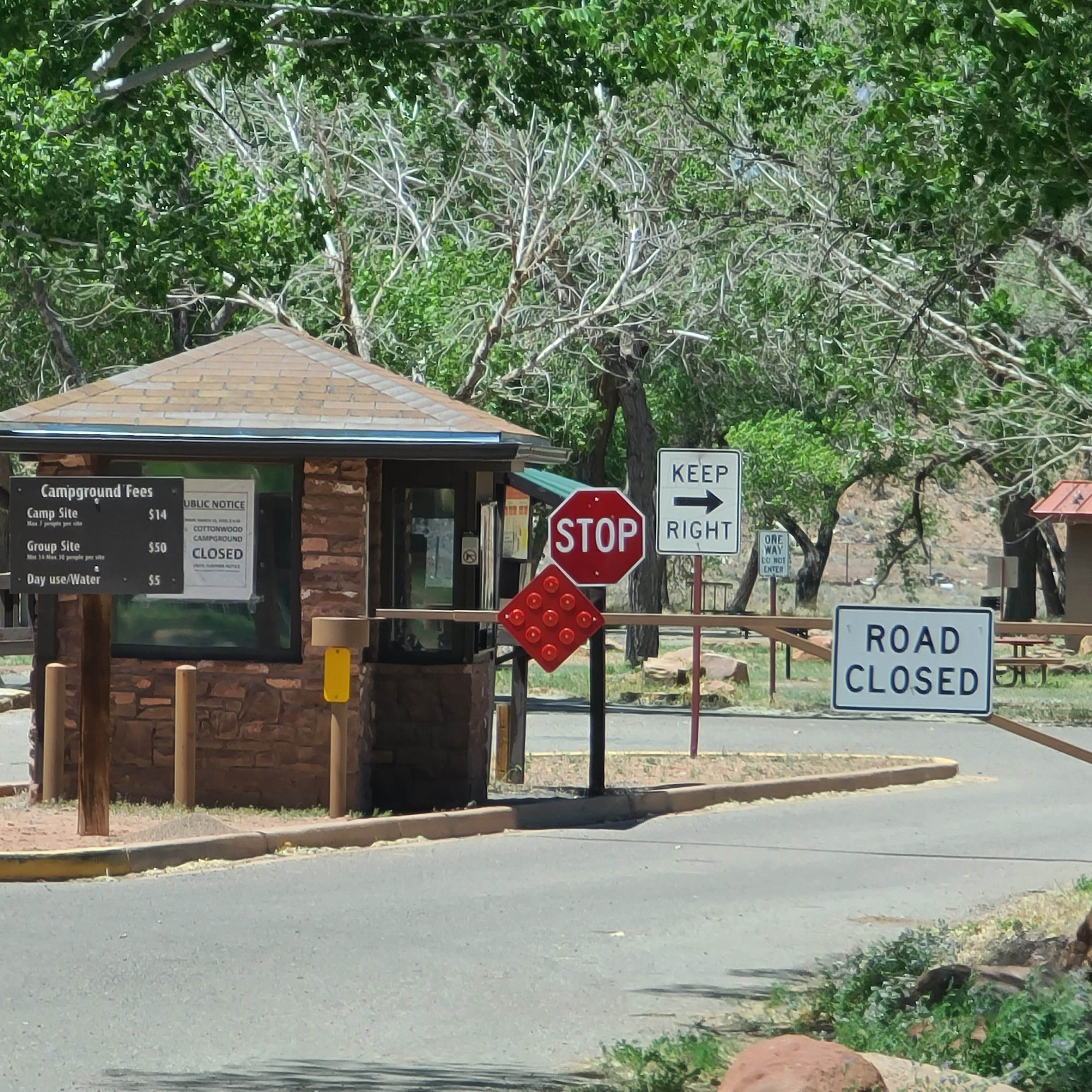 Camper submitted image from Cottonwood Campground - 4