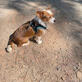 Review photo of Hamilton Branch State Park Campground by Elizabeth G., May 16, 2021