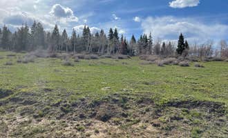 Camping near Silesca Cabin: Columbine Campground, Grand Mesa, Uncompahgre and Gunnison National Fore, Colorado