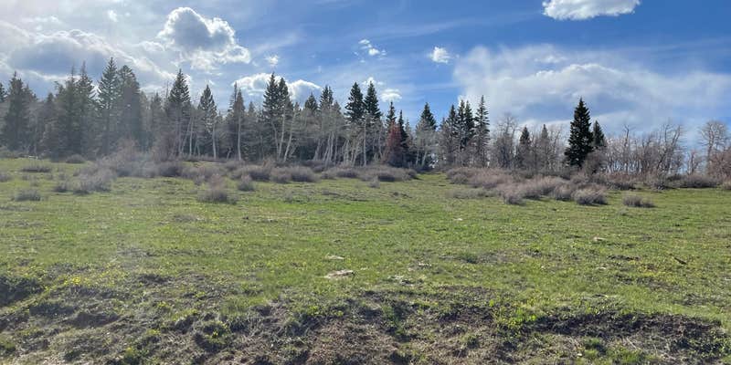 Camper submitted image from Columbine Campground - Uncompahgre Forest Western CO