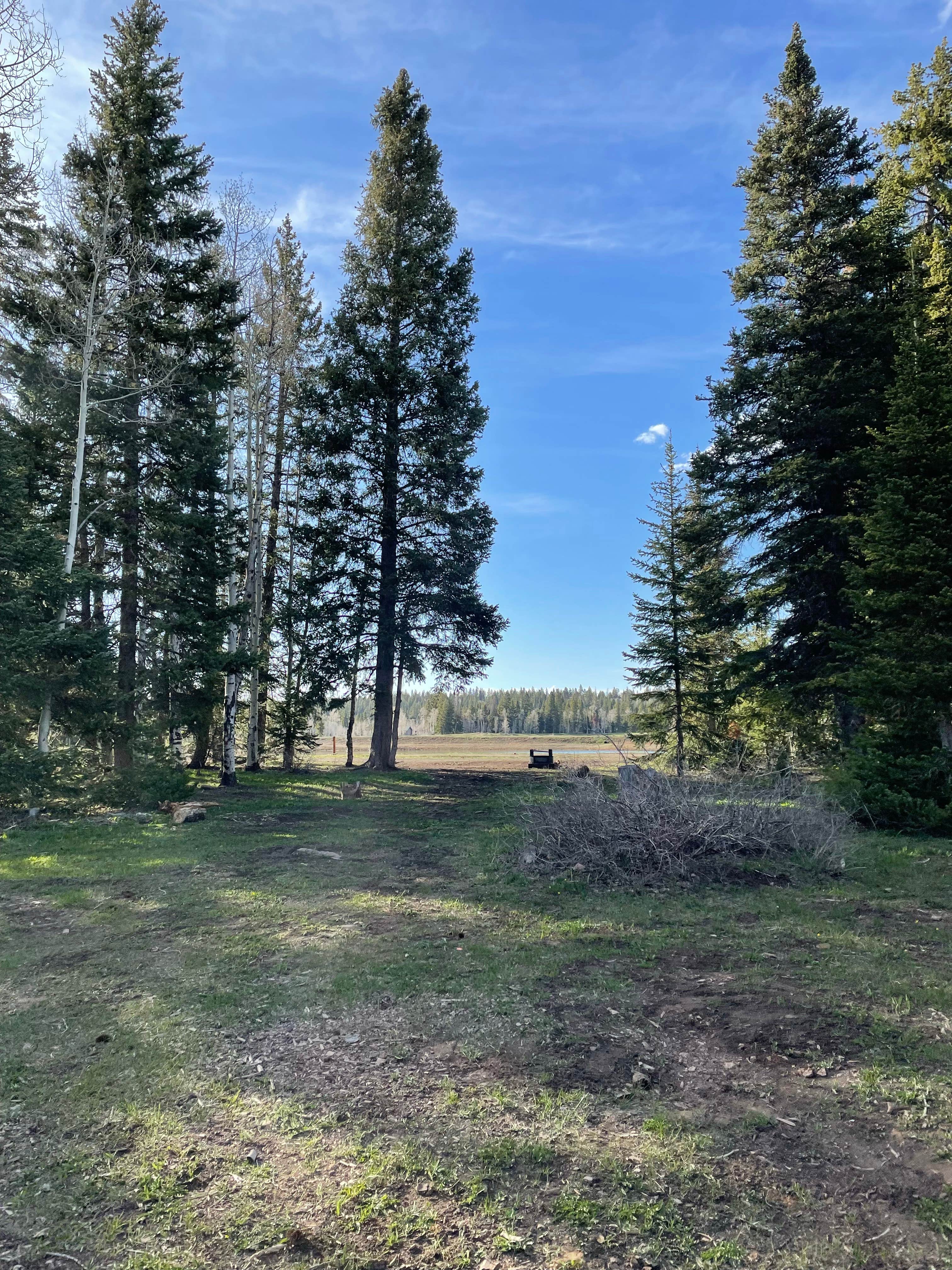 Camper-submitted photo at Columbine Campground - Uncompahgre Forest Western CO near Nucla, CO