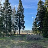 Review photo of Columbine Campground by Mandi H., May 16, 2021