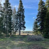 Review photo of Columbine Campground - Uncompahgre Forest Western CO by Mandi H., May 16, 2021