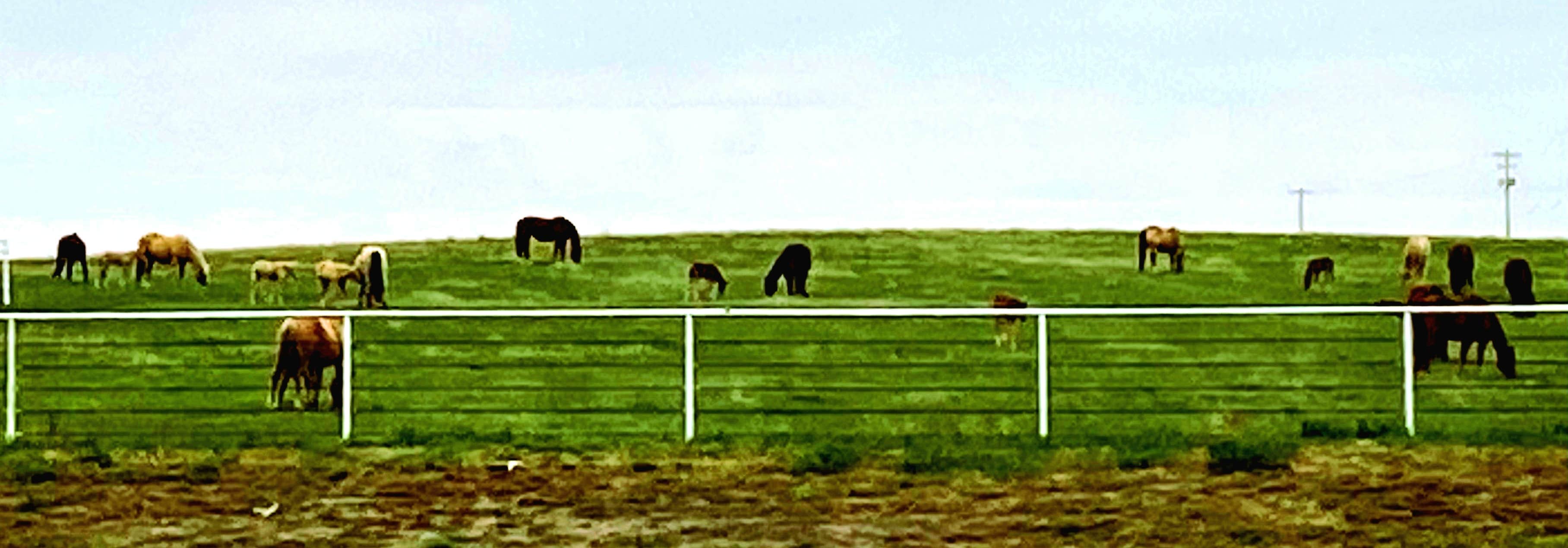 Camping near Meade State Park Campground: Cimarron RV Park, Dodge City, Kansas