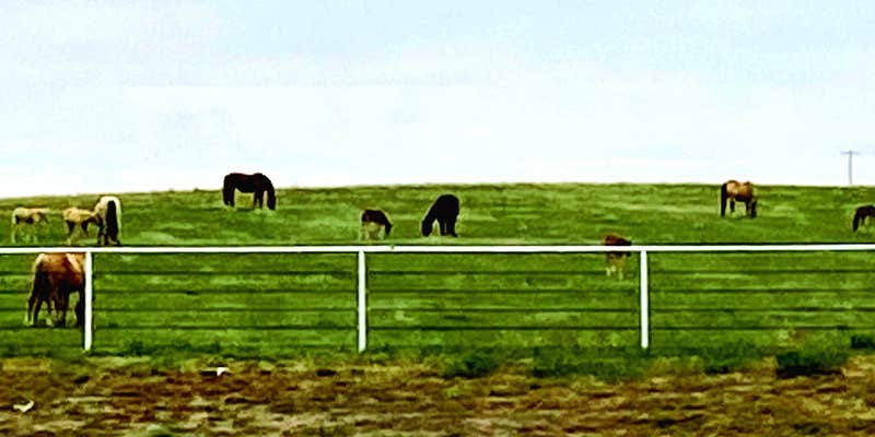 Camper submitted image from Cimarron RV Park