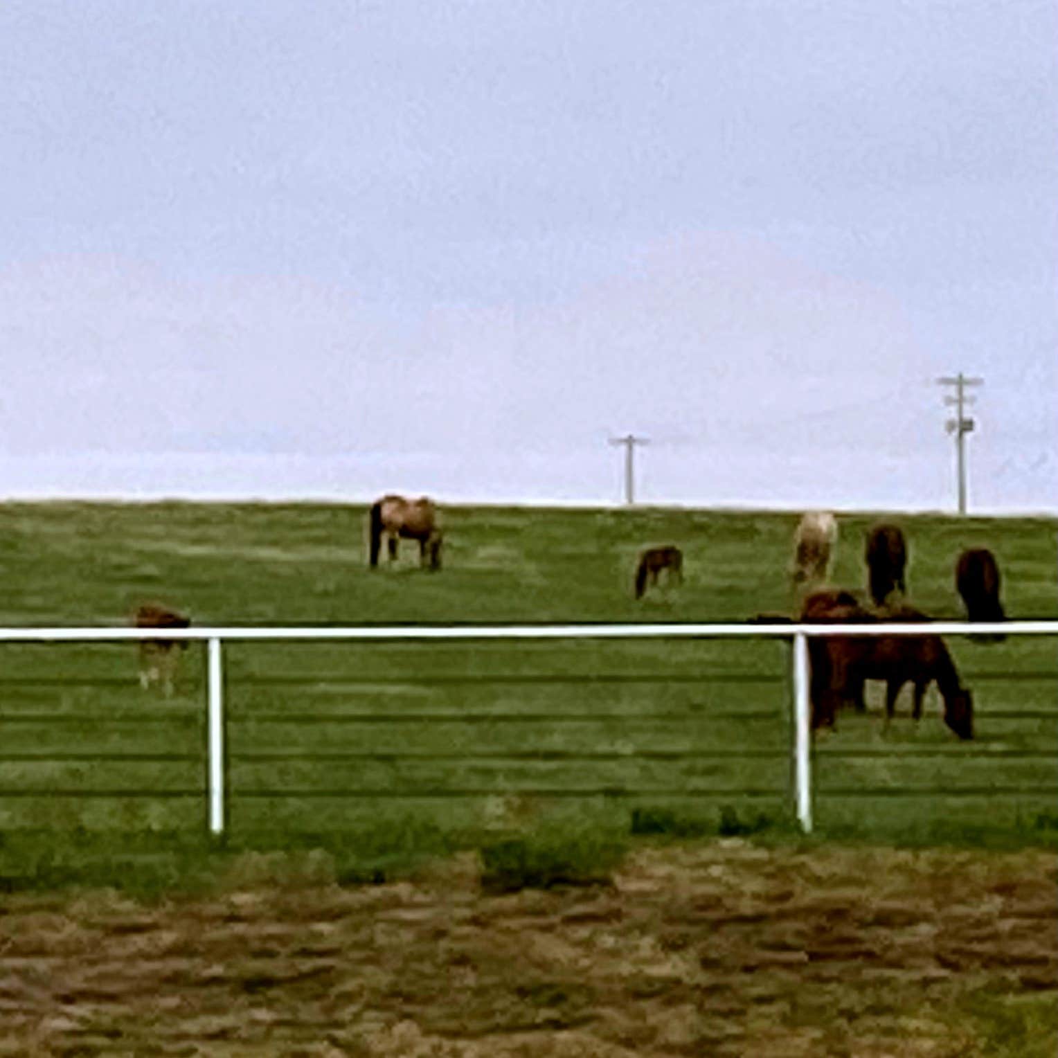 Camper-submitted photo at Cimarron RV Park near Garden City, KS