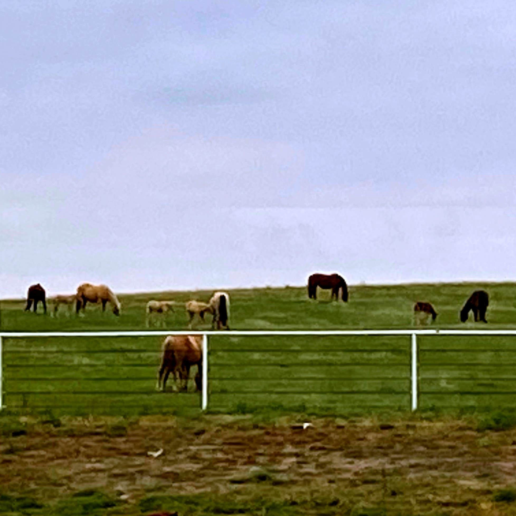 Camper-submitted photo at Cimarron RV Park near Garden City, KS