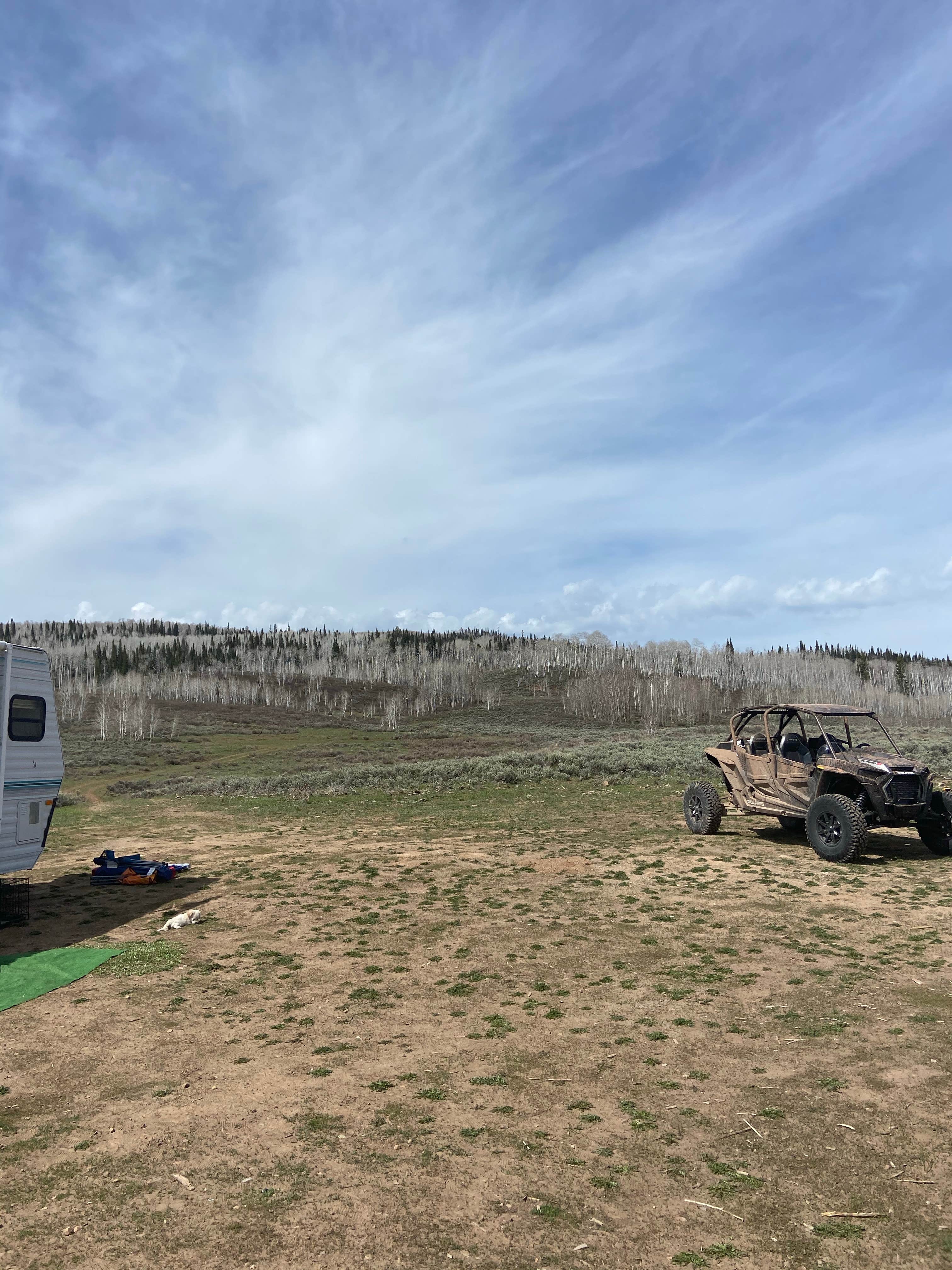 Camper-submitted photo at Clyde Creek Dispersed Camping near Tabiona, UT