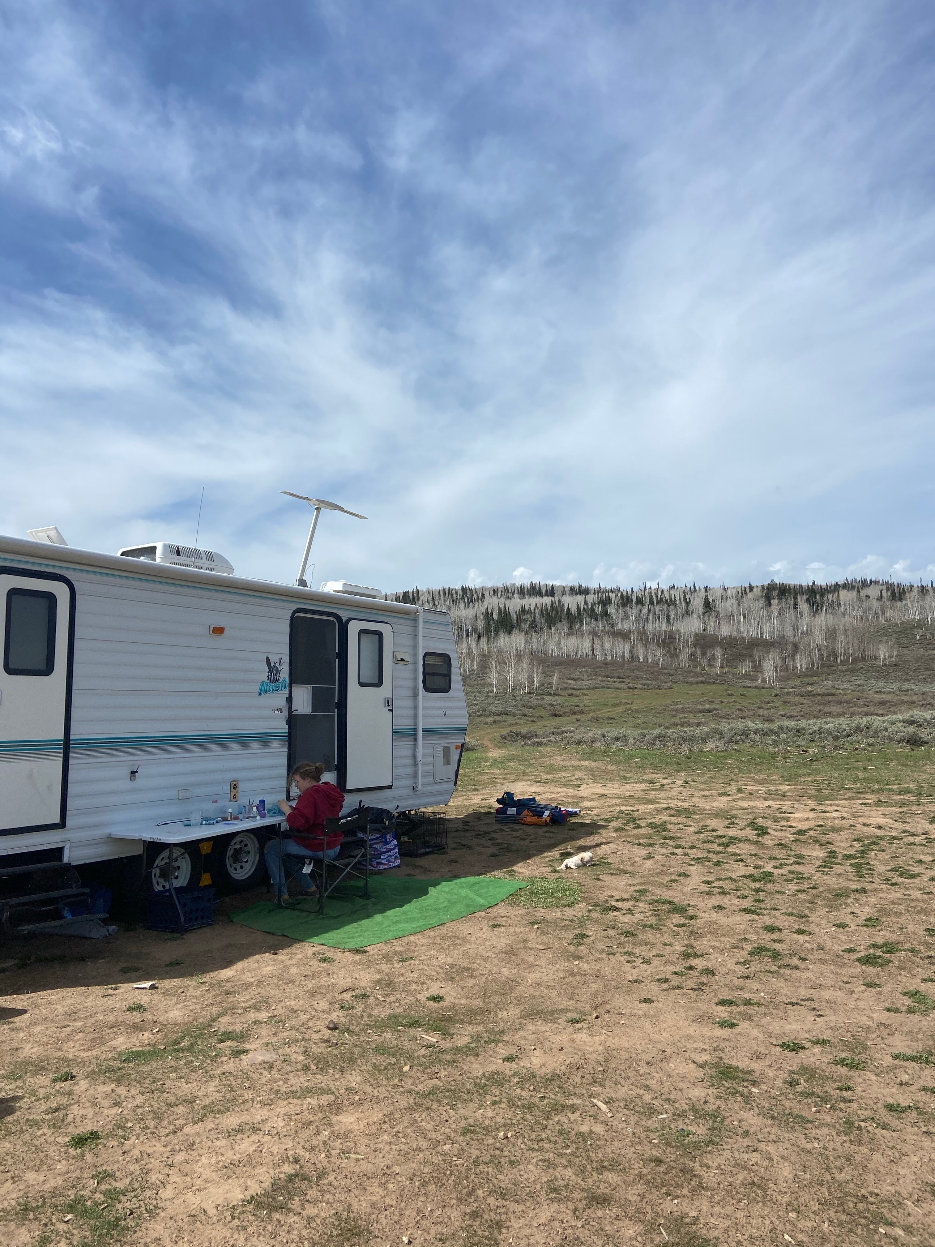 Camper submitted image from Clyde Creek Dispersed Camping - 4