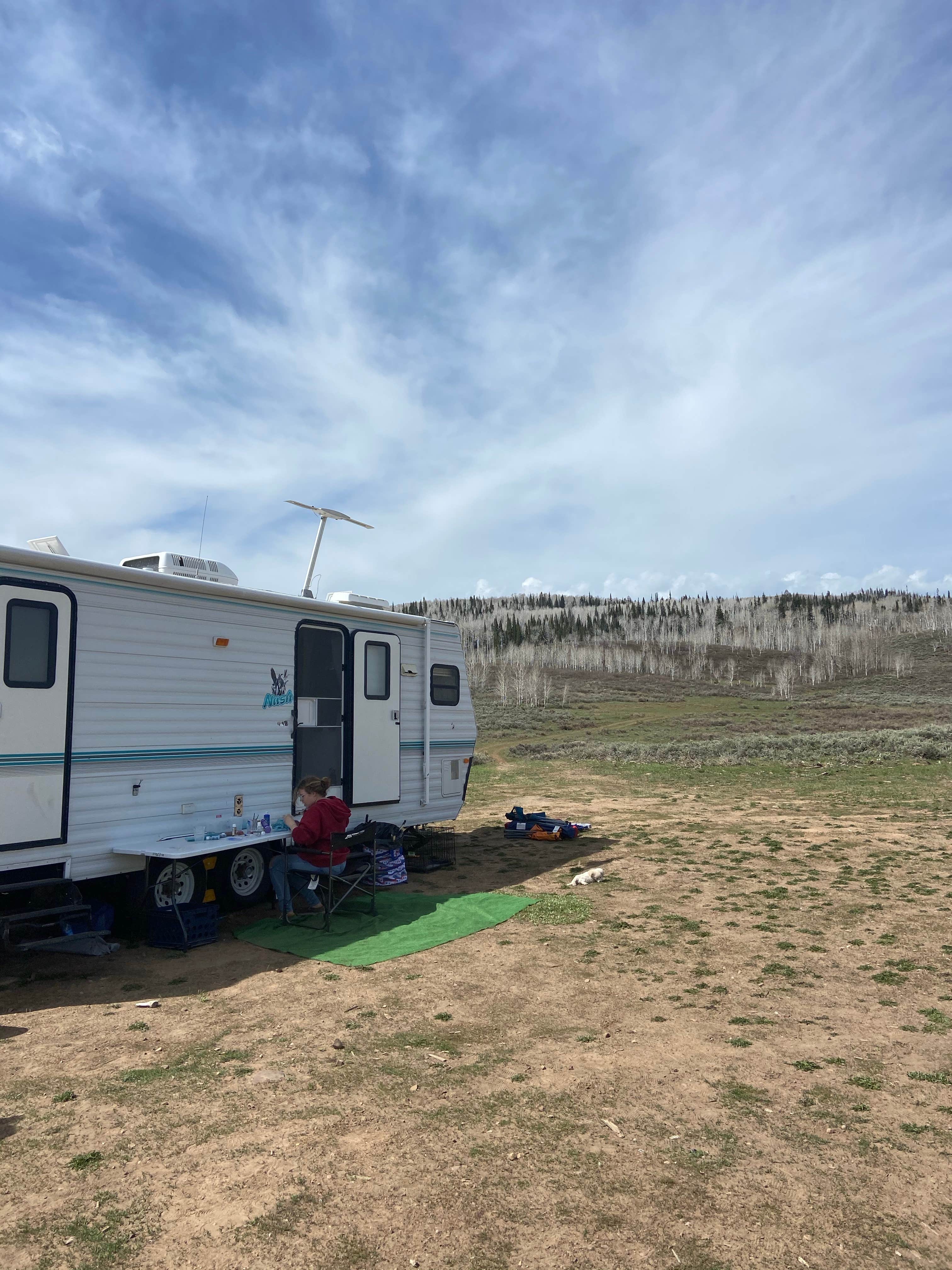 Camper submitted image from Clyde Creek Dispersed Camping - 4