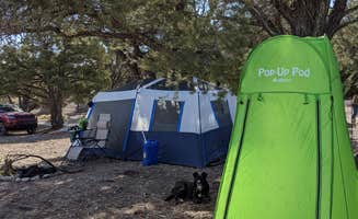 Jamie H.'s photo at Blue Tree Group Camp in Nevada