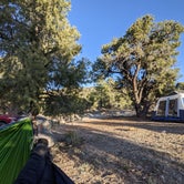 Review photo of  Blue Tree Group Camp by Jamie H., May 16, 2021