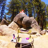 Review photo of Tahoe Valley Campground by Keef W., July 15, 2016