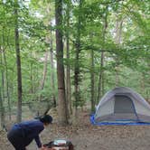 Review photo of Pohick Bay Campground by Kasumi , May 16, 2021