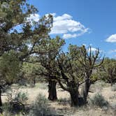 Review photo of Oregon Badlands Dispersed by Trenton S., May 16, 2021