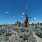 Review photo of Oregon Badlands Dispersed by Trenton S., May 16, 2021