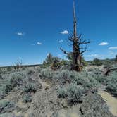 Review photo of Oregon Badlands Dispersed by Trenton S., May 16, 2021