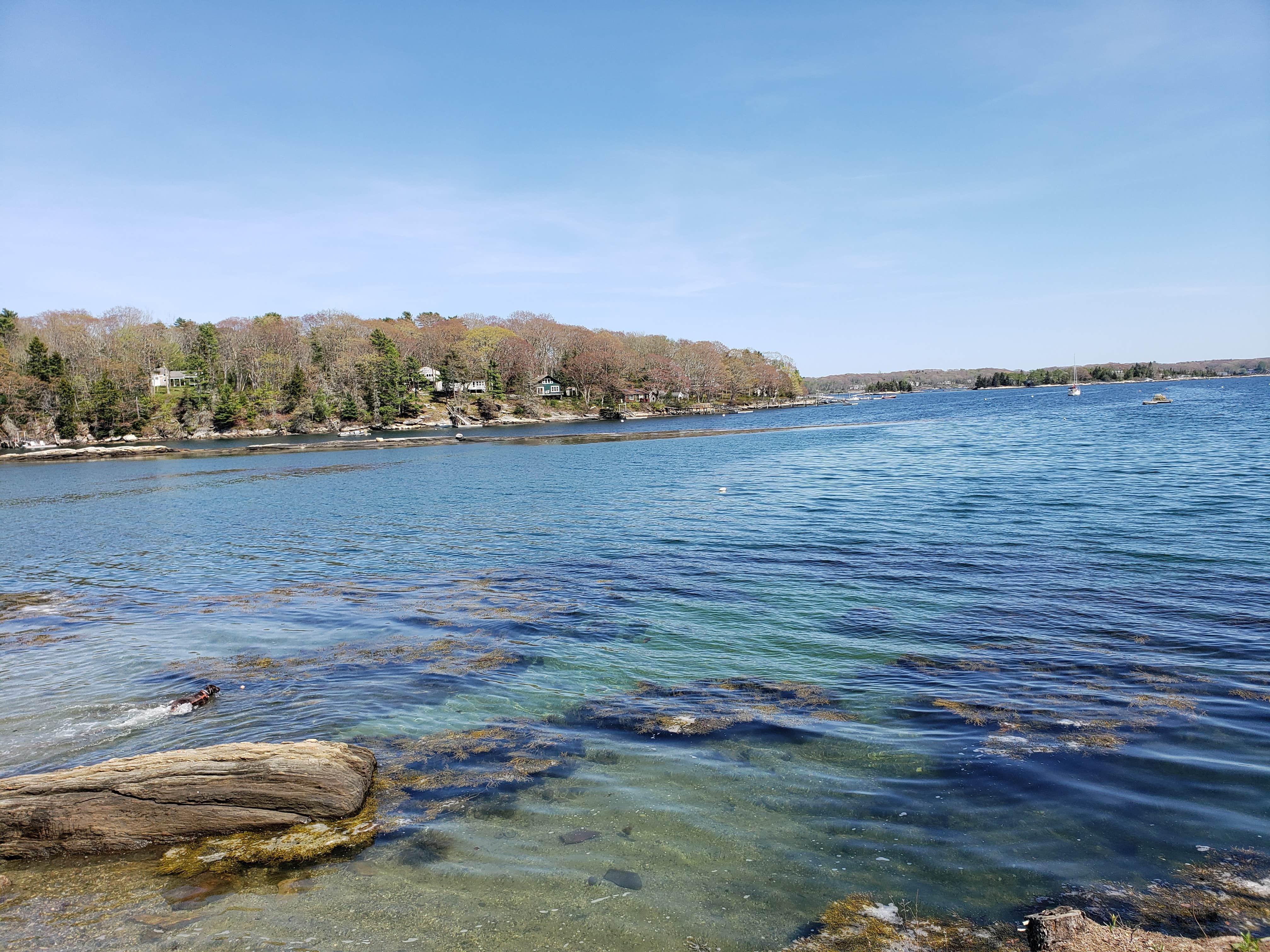Camper submitted image from Boothbay Craft Brewery & RV Resort - 5