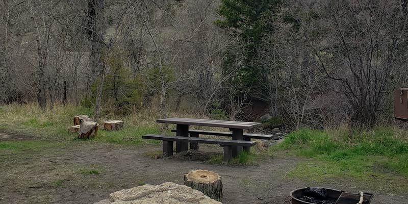 Camper submitted image from Dead Indian Campground