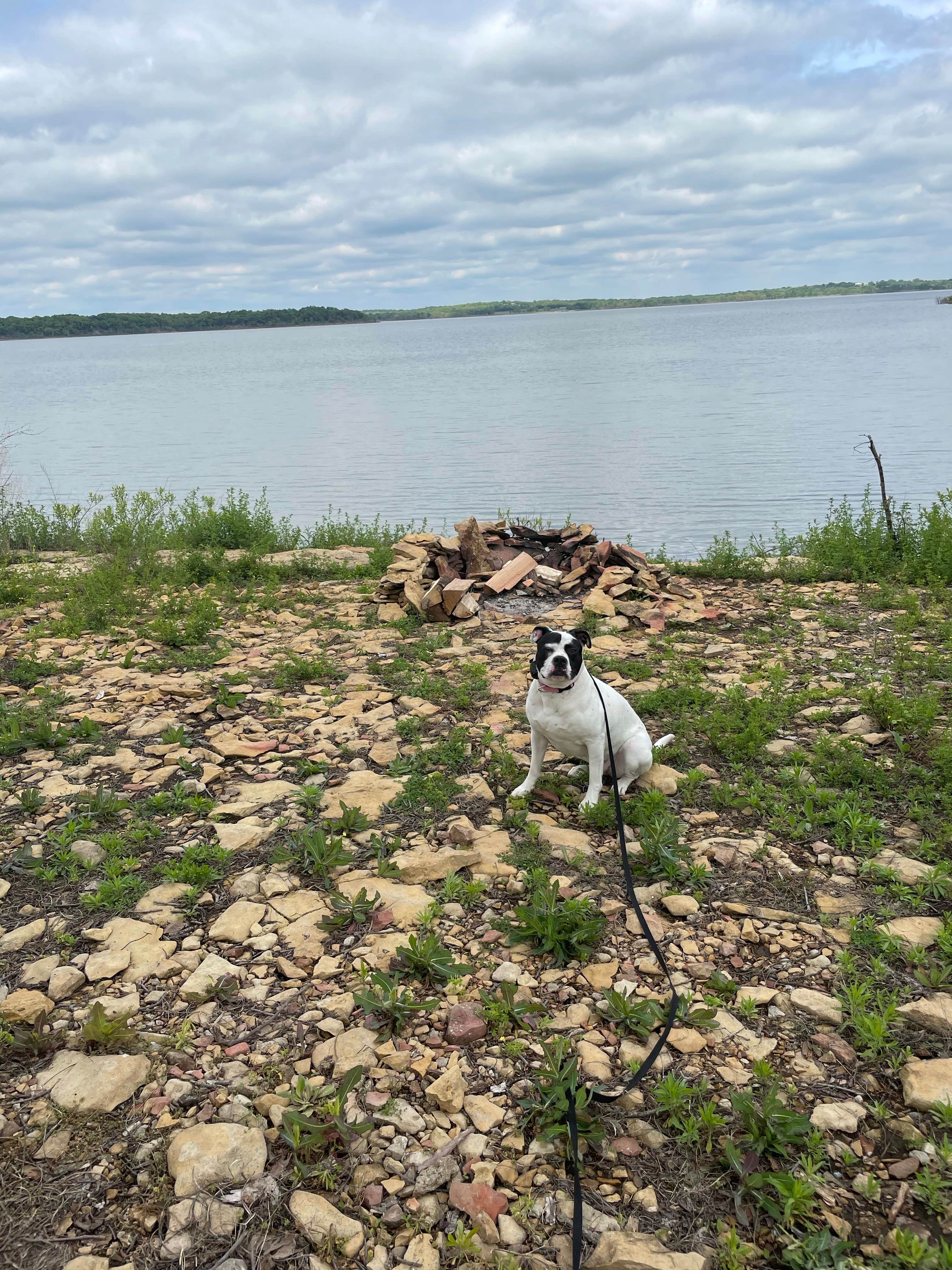 Tanner P.'s photo of camping with pets at Pomona State Park Campground near Topeka, KS