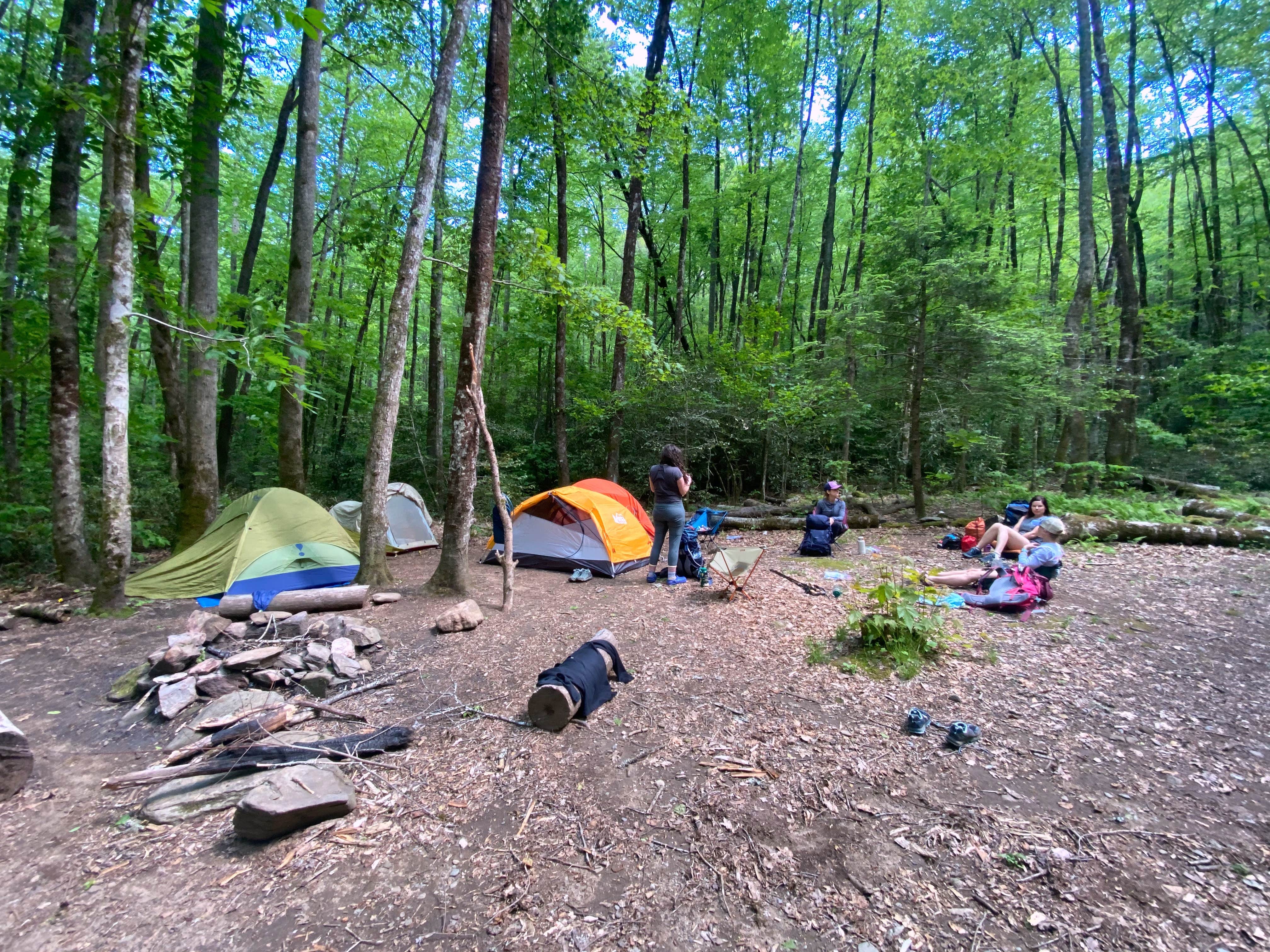 Carissa D.'s photo at 91 Upper Lost Cove near Fontana Dam, NC