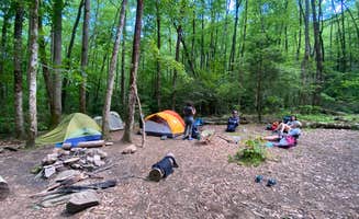 Carissa D.'s photo of tent camping at 91 Upper Lost Cove in North Carolina