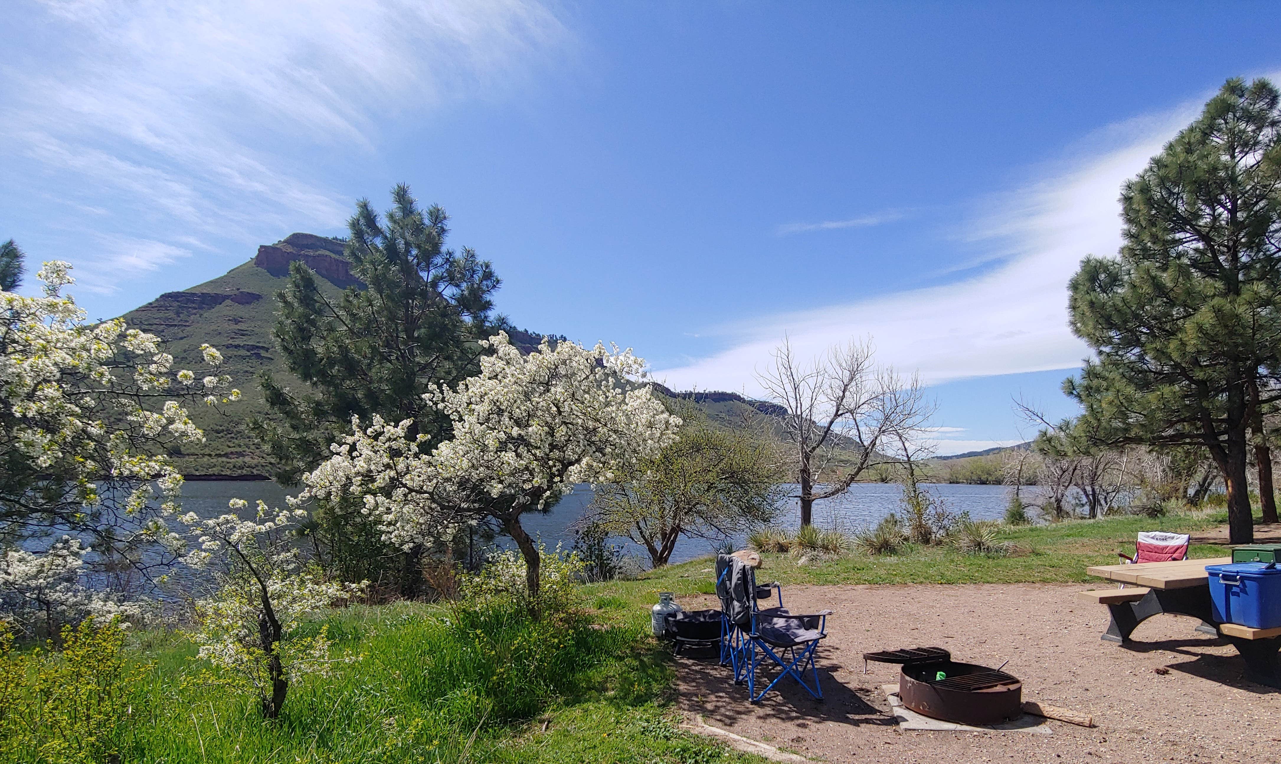 View All