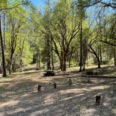 Review photo of Philpot Campground by DirtyMountainBoy A., May 17, 2021