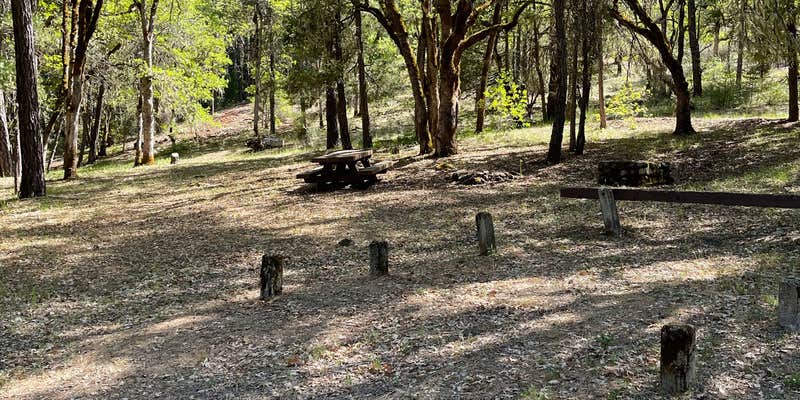 Camper submitted image from Philpot Campground