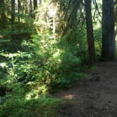 Review photo of Paradise Campground by Bill I., July 15, 2016