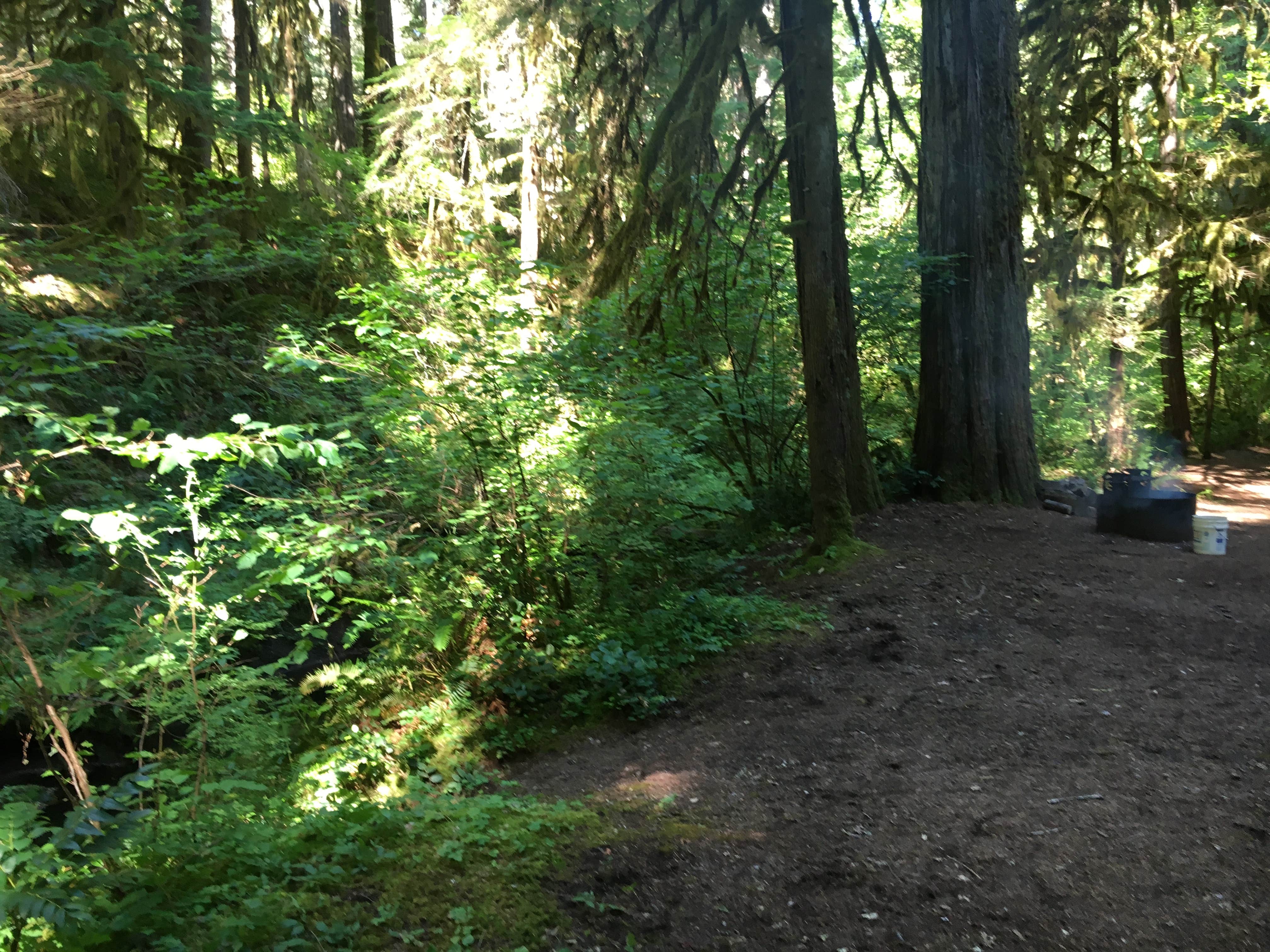 Camper submitted image from Paradise Campground - 4