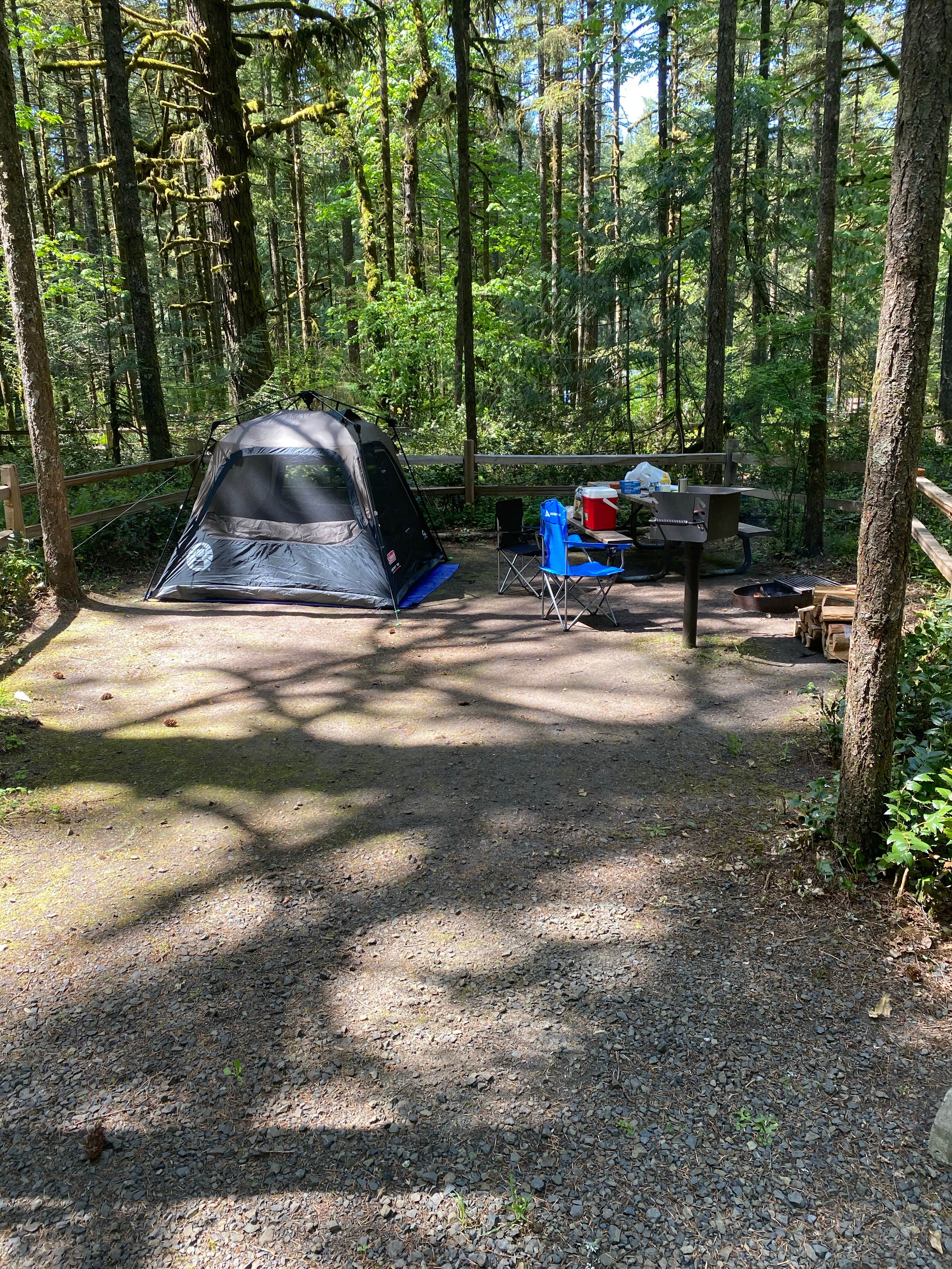 Kevin M.'s photo at Oxbow Regional Park near Beaverton, OR