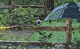Kevin M.'s photo at Oxbow Regional Park near Beaverton, OR