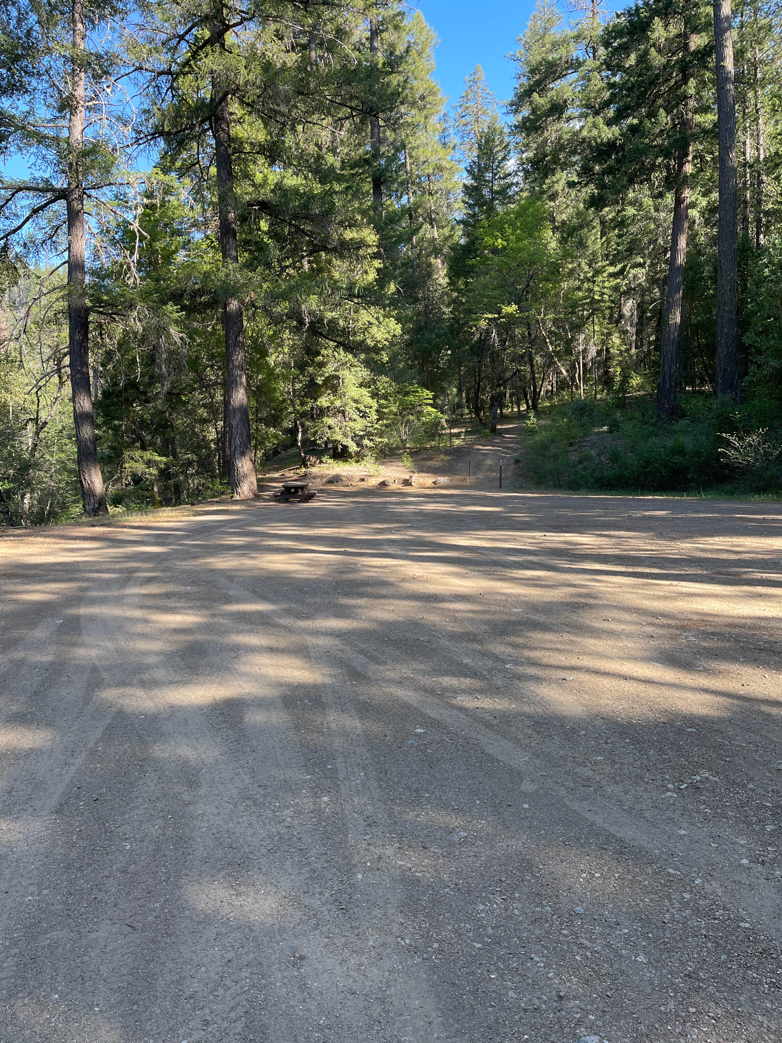 Camper submitted image from Shell Gulch Campground - 3