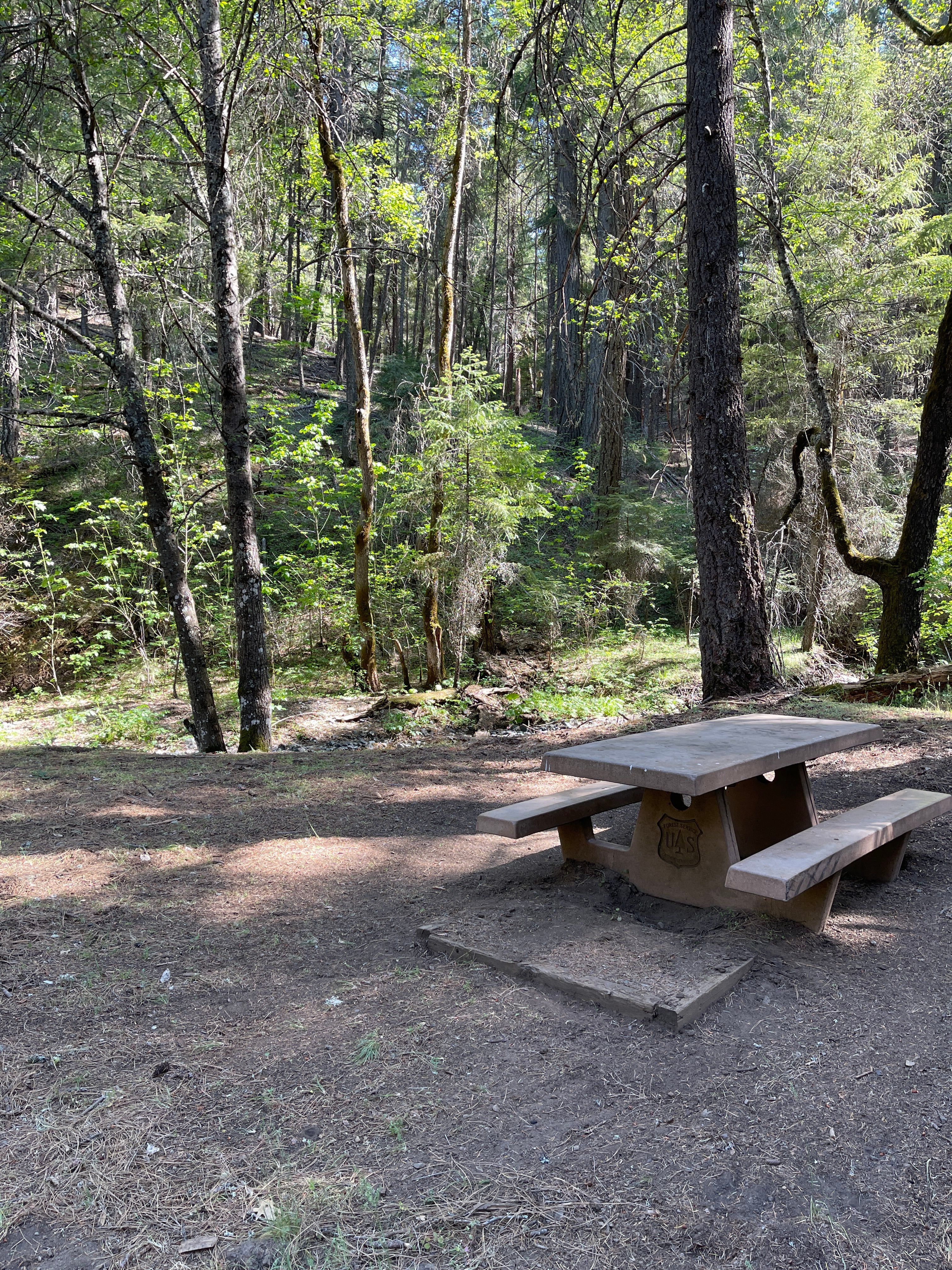 Camper submitted image from Basin Gulch Campground - 2
