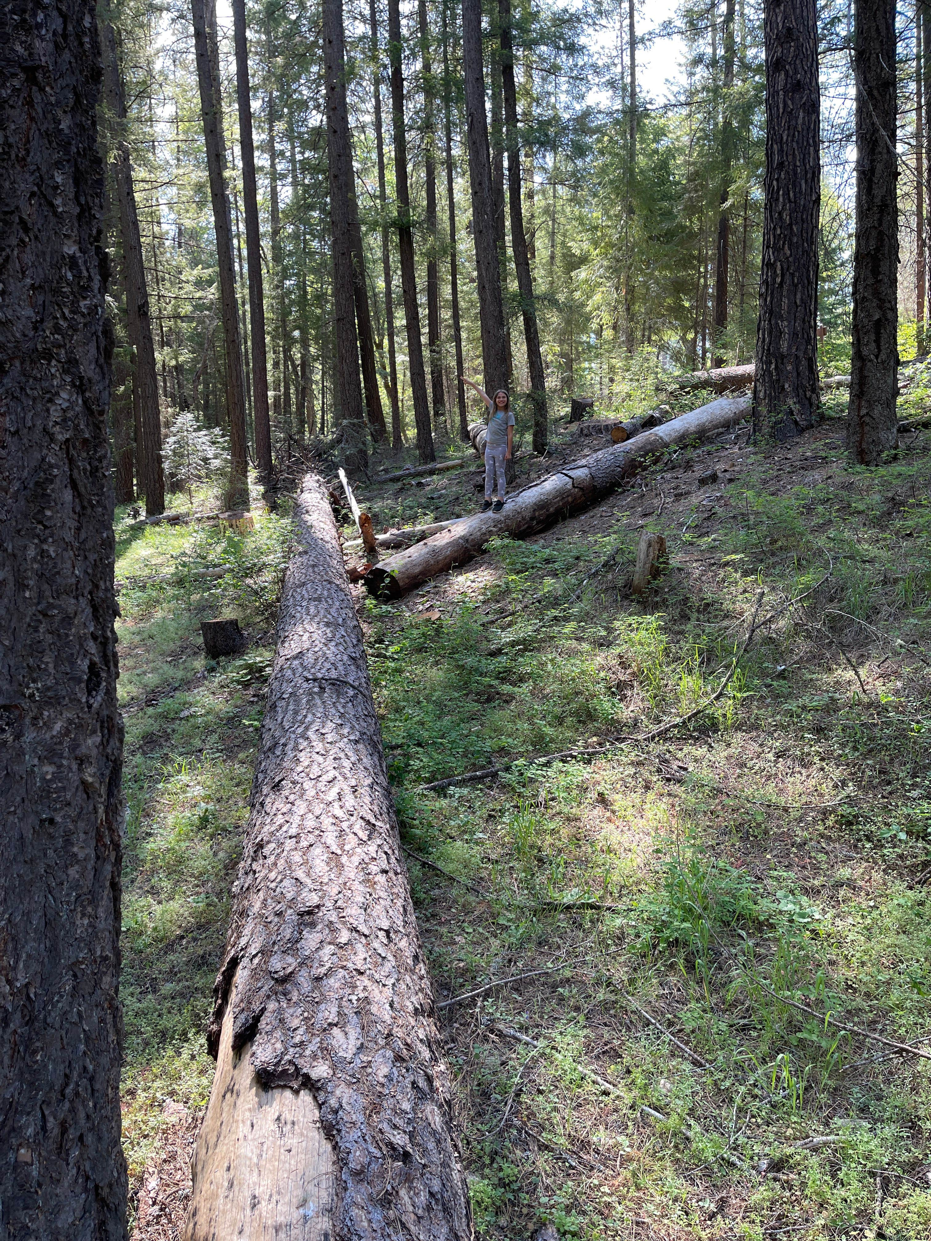 Camper-submitted photo at Basin Gulch Campground near Platina, CA