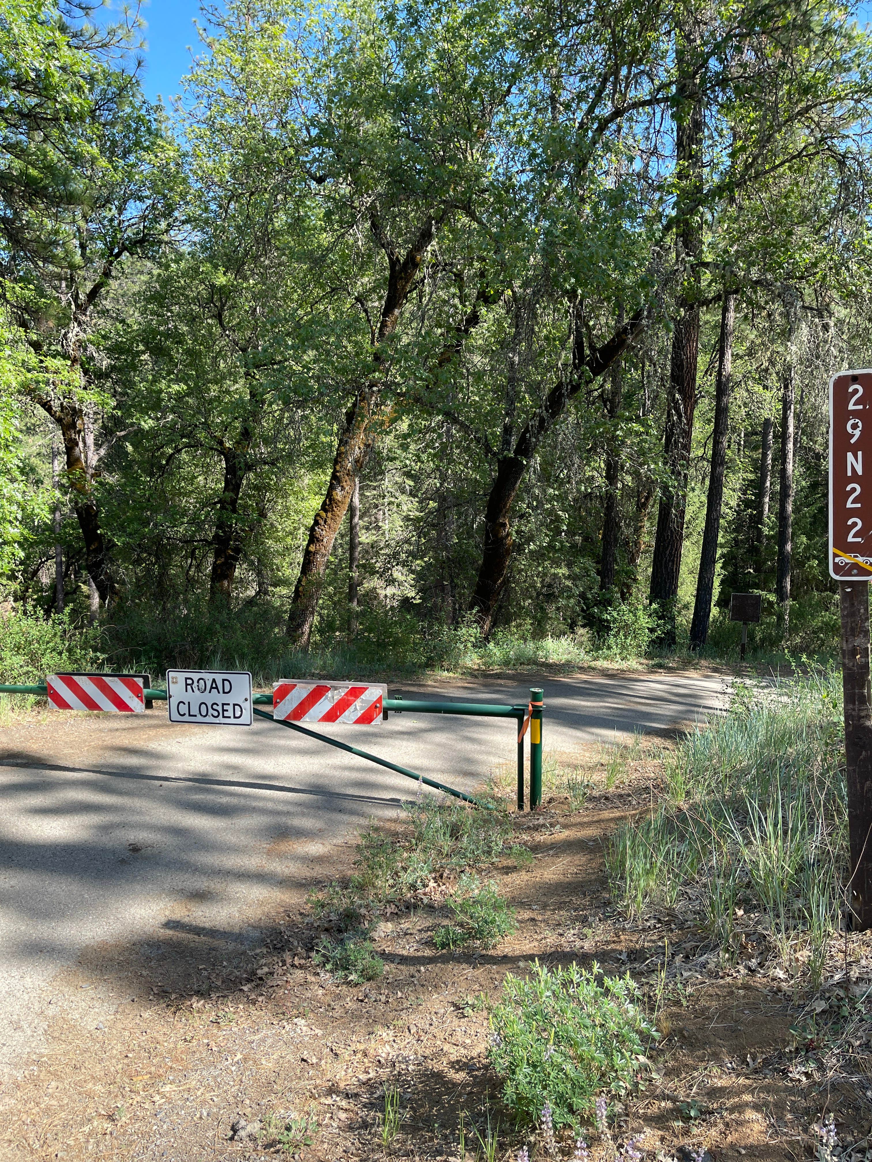 Camper submitted image from Basin Gulch Campground - 5