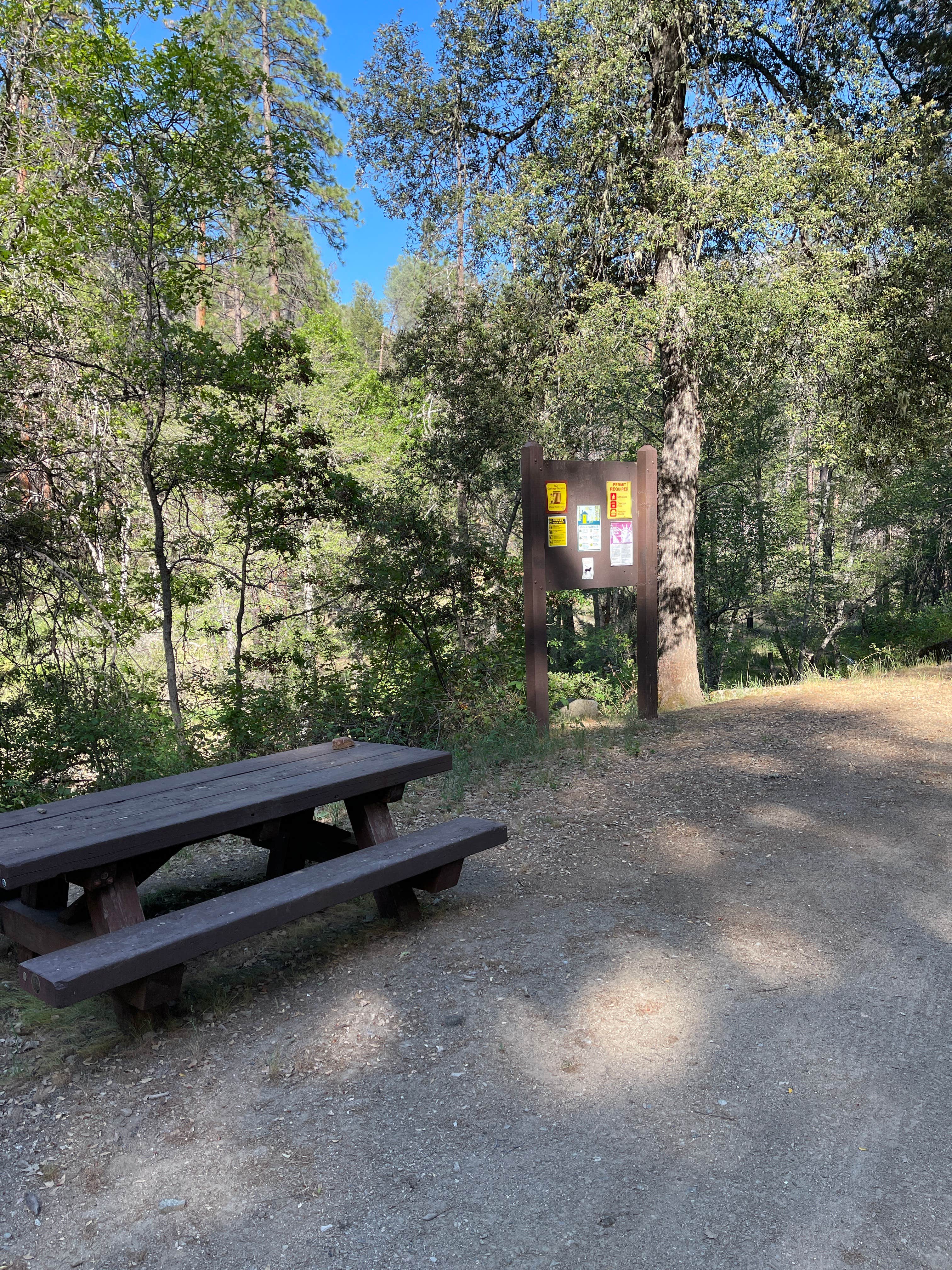 Camper submitted image from Shell Gulch Campground - 1