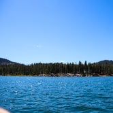 Review photo of Elk Lake Campground by Molly H., June 3, 2018