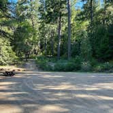 Review photo of Shell Gulch Campground by DirtyMountainBoy A., May 17, 2021