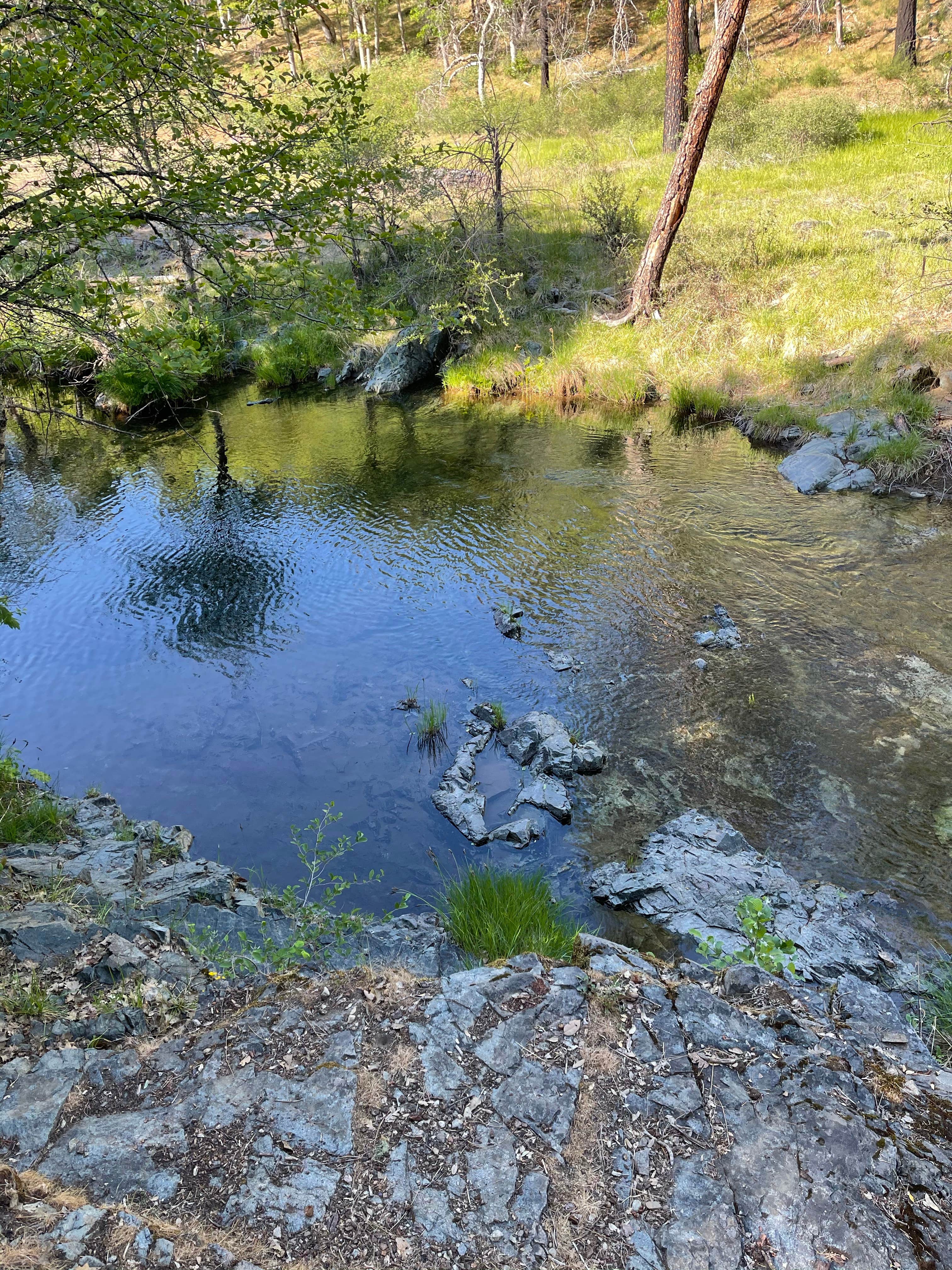 Camper-submitted photo at Shell Gulch Campground near Hayfork, CA